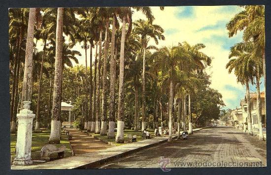 Postkarten: Costa Rica. Lim&oacute;n. *Vista parcial del Parque Vargas* Ed. C. Federspiel & Co. n&ordm; U-146. Nueva.
