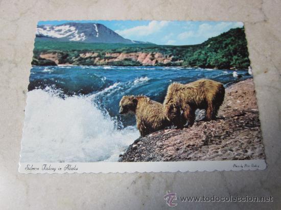 Postales: POSTAL SALMON FISHING IN ALASKA ESTADOS UNIDOS