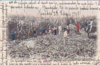 Postales: POSTAL CUNA CORTE DE CA&Ntilde;A - Foto 1
