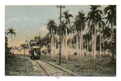 Cartoline: HABANA. CAMINO DE GUANAJAY. (FERROCARRIL). PUBLICIDAD AL DORSO.