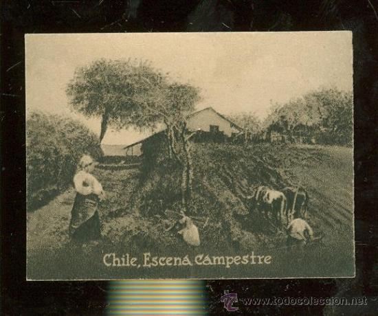 Postkarten: POSTAL ORIGINAL DECADA DE LOS 30. CHILE, ESCENA CAMPESTRE. N&ordm; 1980. VER TAMA&Ntilde;O Y EXPLICACION.