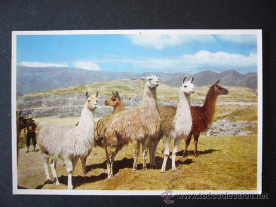 Postales: CUZCO, PERU. - Foto 1