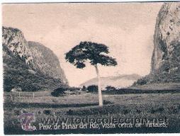 Postais: POSTAL ORIGINAL DECADA DE LOS 30. CUBA, PINAR DEL RIO. N&ordm; 1505. VER TAMA&Ntilde;O Y EXPLICACION