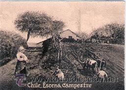 Postcards: POSTAL ORIGINAL DECADA DE LOS 30. CHILE. N&ordm; 1980. VER TAMA&Ntilde;O Y EXPLICACION
