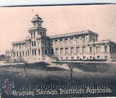 Postkarten: POSTAL ORIGINAL DECADA DE LOS 30. URUGUAY, SAYAGO. N&ordm; 1896. VER TAMA&Ntilde;O Y EXPLICACION