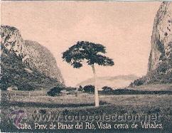 Postkarten: POSTAL ORIGINAL DECADA DE LOS 30. CUBA, PINAR DEL RIO. N&ordm; 1505. VER TAMA&Ntilde;O Y EXPLICACION