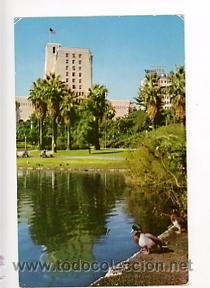 Cartoline: ANTIGUA POSTAL DE LOS ANGELES. CALIFORNIA. ESTADOS UNIDOS