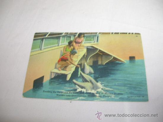 Cartoline: Postal  de Florida a&ntilde;os 50