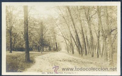Postkarten: POSTAL 3214 IN ROCK CREEK PARK WASHINGTON D.C.  P-AMER-008