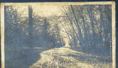 Postkarten: POSTAL 3214 IN ROCK CREEK PARK WASHINGTON D.C.   P-AMER-009