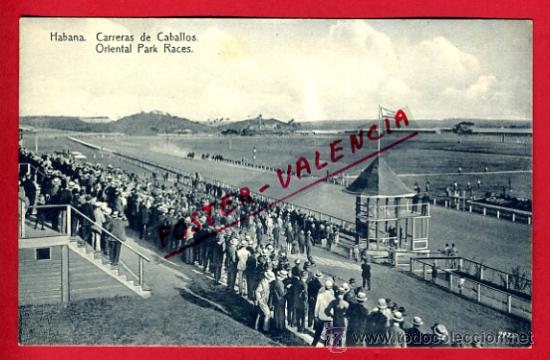 Cartoline: POSTAL, HABANA, CUBA, CARRERAS DE CABALLOS,   P71191