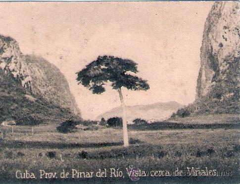 Postkarten: POSTAL ORIGINAL DECADA DE LOS 30. PROV. DE PINAR DEL RIO. N&ordm; 1505. VER TAMA&Ntilde;O Y EXPLICACION