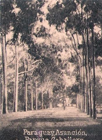Postkarten: POSTAL ORIGINAL DECADA DE LOS 30. PARAGUAY. N&ordm; 1875. VER TAMA&Ntilde;O Y EXPLICACION
