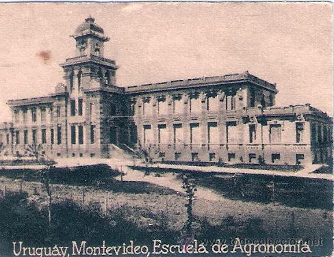 Postcards: POSTAL ORIGINAL DECADA DE LOS 30. URUGUAY. N&ordm; 1888. VER TAMA&Ntilde;O Y EXPLICACION