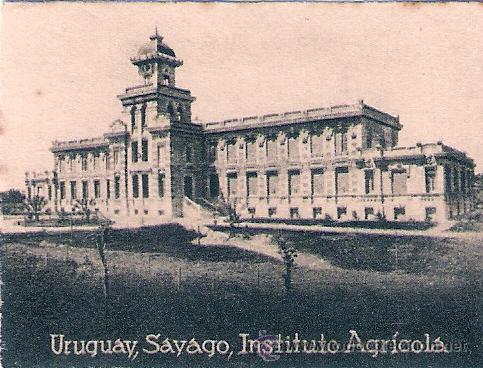 Postcards: POSTAL ORIGINAL DECADA DE LOS 30. URUGUAY. N&ordm; 1896. VER TAMA&Ntilde;O Y EXPLICACION