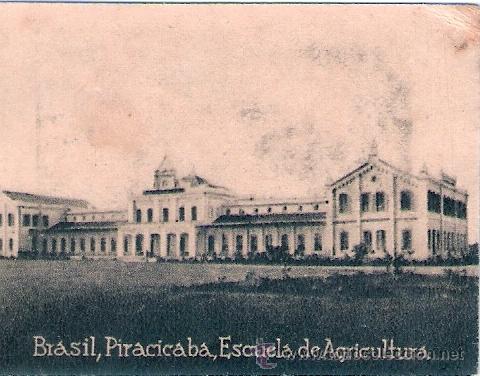 Postcards: POSTAL ORIGINAL DECADA DE LOS 30. BRASIL. N&ordm; 1907. VER TAMA&Ntilde;O Y EXPLICACION