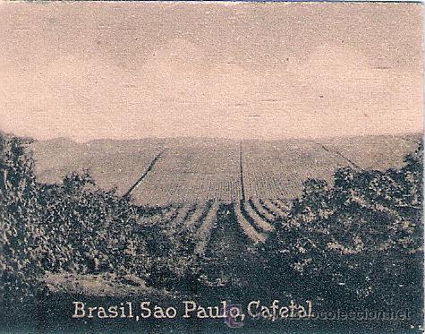 Postcards: POSTAL ORIGINAL DECADA DE LOS 30. BRASIL. N&ordm; 1942. VER TAMA&Ntilde;O Y EXPLICACION