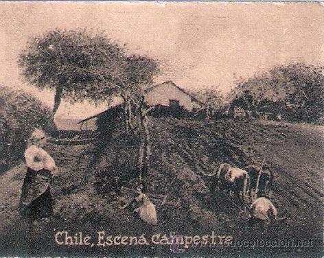Postcards: POSTAL ORIGINAL DECADA DE LOS 30. CHILE. N&ordm; 1980. VER TAMA&Ntilde;O Y EXPLICACION