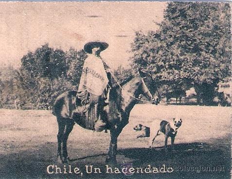 Postcards: POSTAL ORIGINAL DECADA DE LOS 30. CHILE. N&ordm; 1983. VER TAMA&Ntilde;O Y EXPLICACION