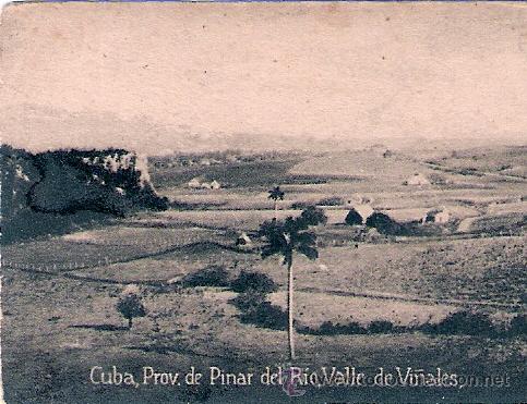 Postcards: POSTAL ORIGINAL DECADA DE LOS 30. PROV. DE PINAR DEL RIO. N&ordm; 1503. VER TAMA&Ntilde;O Y EXPLICACION