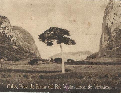 Postcards: POSTAL ORIGINAL DECADA DE LOS 30. CUBA N&ordm; 1505. VER TAMA&Ntilde;O Y EXPLICACION.