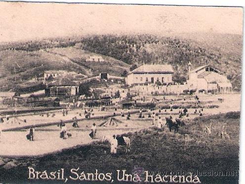 Postcards: POSTAL ORIGINAL DECADA DE LOS 30. BRASIL N&ordm; 1922. VER TAMA&Ntilde;O Y EXPLICACION.