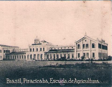 Postcards: POSTAL ORIGINAL DECADA DE LOS 30. BRASIL N&ordm; 1907. VER TAMA&Ntilde;O Y EXPLICACION.