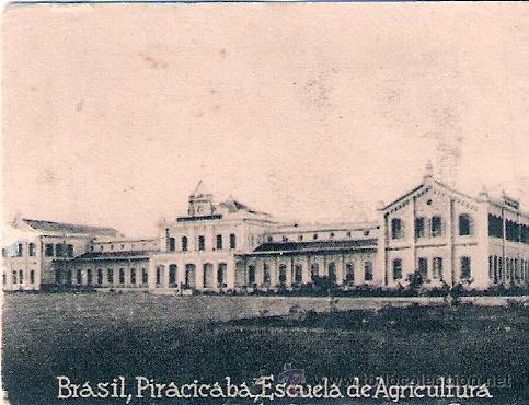 Postcards: POSTAL ORIGINAL DECADA DE LOS 30. BRASIL N&ordm; 1907. VER TAMA&Ntilde;O Y EXPLICACION.