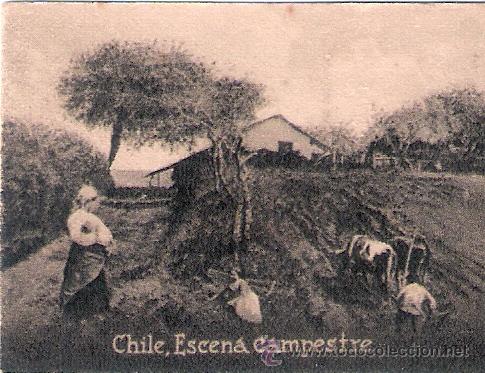 Postais: POSTAL ORIGINAL DECADA DE LOS 30. CHILE N&ordm; 1980. VER TAMA&Ntilde;O Y EXPLICACION.