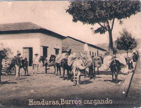 Postcards: POSTAL ORIGINAL DECADA DE LOS 30. HONDURAS. N&ordm; 1674. VER TAMA&Ntilde;O Y EXPLICACION.
