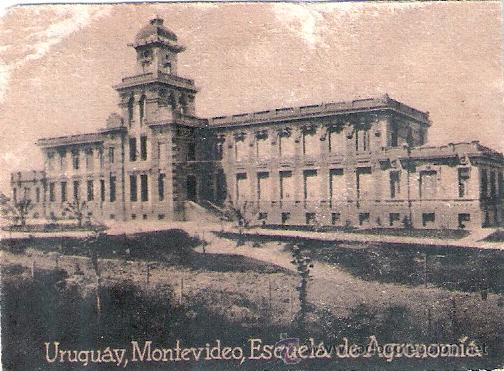 Postais: POSTAL ORIGINAL DECADA DE LOS 30. URUGUAY. N&ordm; 1888. VER TAMA&Ntilde;O Y EXPLICACION.