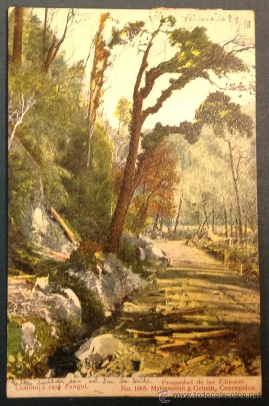 Postais: CHILE. CAMINO A CASA PANGUI. (ED. METTENSOHN Y GRIMM).