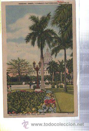 Postkarten: TARJETA POSTAL DE HABANA - ARBOL Y PARQUE FRATERNIDAD, CAPITOLIO.