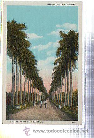 Postkarten: TARJETA POSTAL DE HABANA - CALLE DE PALMAS. 69394. C.JORDI N&ordm; 50