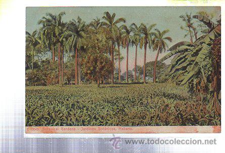 Postkarten: TARJETA POSTAL DE HABANA - JARDINES BOTANICOS. E 12043.