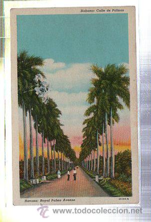 Postkarten: TARJETA POSTAL DE HABANA - CALLE DE PALMAS. 69394. C.JORDI N&ordm; 50