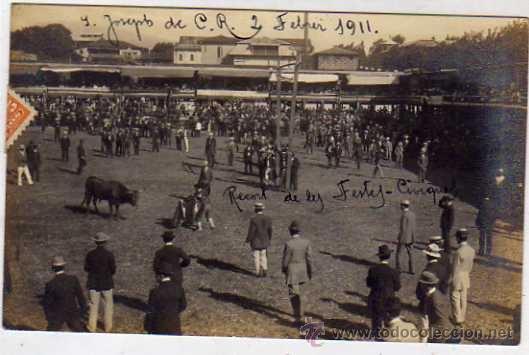 Resultado de imagen para fotos antiguas de corridas de toros en costa rica