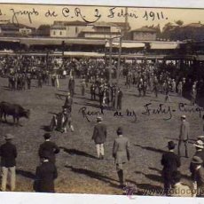 Postales: COSTA RICA. POSTAL FOTOGRÁFICA. SAN JOSE 1911 CORRIDA DE TOROS. TEMA TAURINO. TAUROMAQUIA.. Lote 36212400