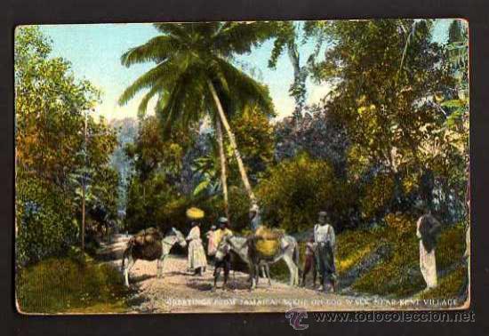 Postales: Antigua postal de Jamaica. No circulada. - Foto 1