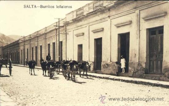 Postales: SALTA (ARGENTINA).- BURRITOS LE&Ntilde;ATEROS - Foto 1