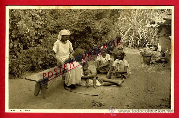 Cartes Postales: POSTAL TRINIDAD, REPUBLICA DOMINICANA, EAST INDIANS, P79721