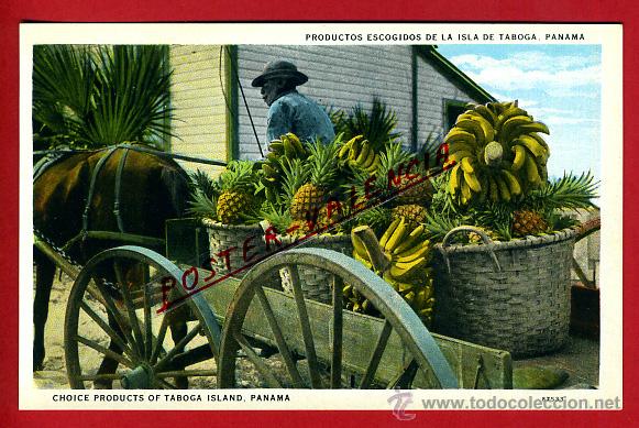 Postales: POSTAL PANAMA, PRODUCTOS ESCOGIDOS DE LA ISLA DE TABOGA,   P79758