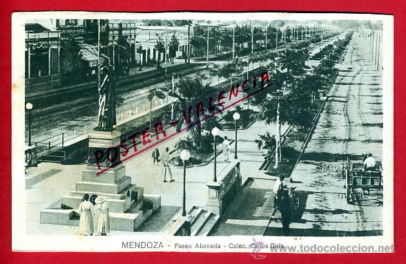 Cartes Postales: POSTAL MENDOZA, ARGENTINA, PASEO ALAMEDA, P79953