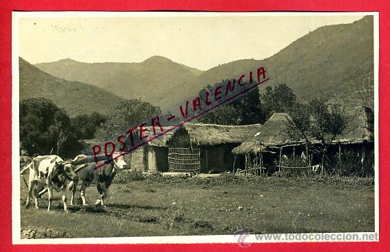 Postales: POSTAL VALPARAISO, CHILE, RANCHOS CHILENOS, FOTOGRAFICA, P80261