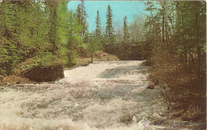Postales: MICHIGAN (USA), CASCADAS R&Iacute;O DE PLARA - W. R. KRISTO N&ordm; 7DK 1502 - SIN CIRCULAR