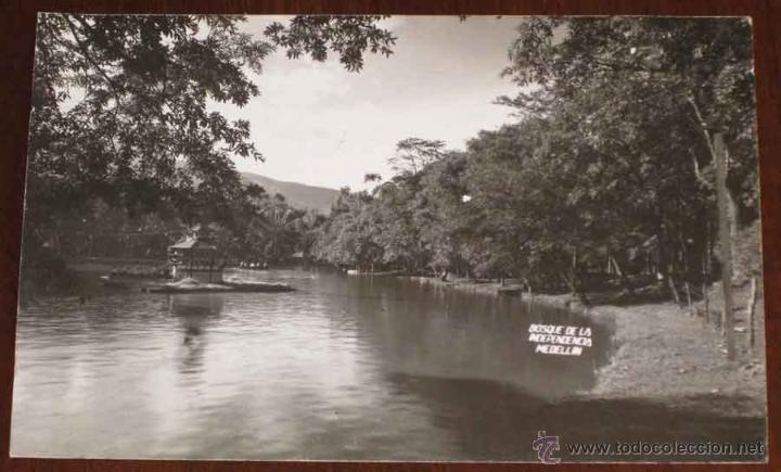 Postcards: ANTIGUA FOTO POSTAL DE MEDELLIN (COLOMBIA) BOSQUE DE LA INDEPENDENCIA - SIN CIRCULAR