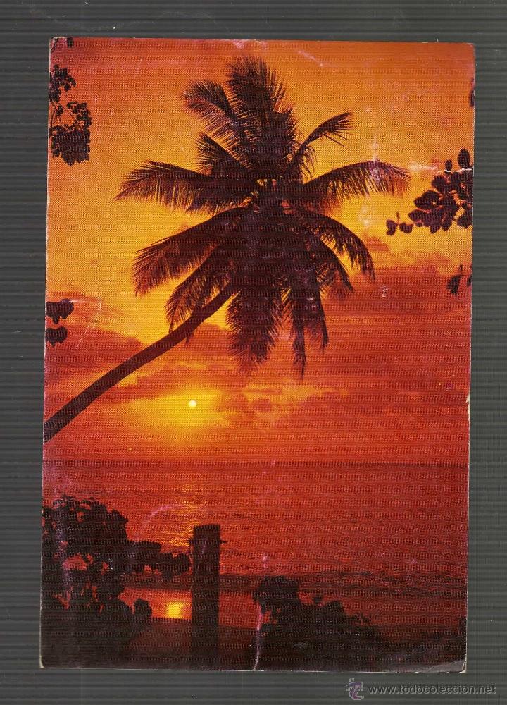 Postales: TARJETA POSTAL FLORIDA - Hermosa puesta de sol tropical - circulada