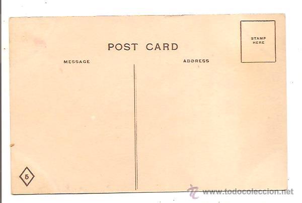 Postales: POSTAL INDIOS &ndash; ILUSTRACI&Oacute;N DE HAMILTON KING - Foto 2