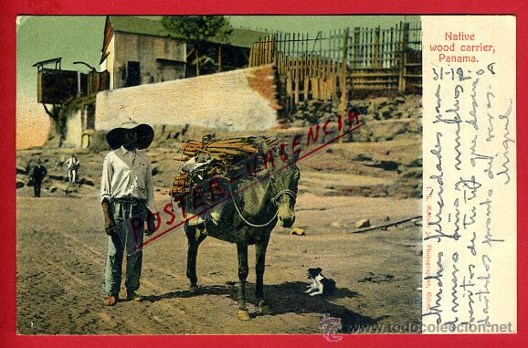 Postales: POSTAL PANAMA, BURRO LLEVANDO MADERA, P93723 - Foto 1