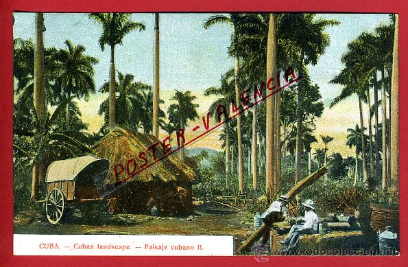 Postales: POSTAL CUBA, PAISAJE CUBANO II, P96847